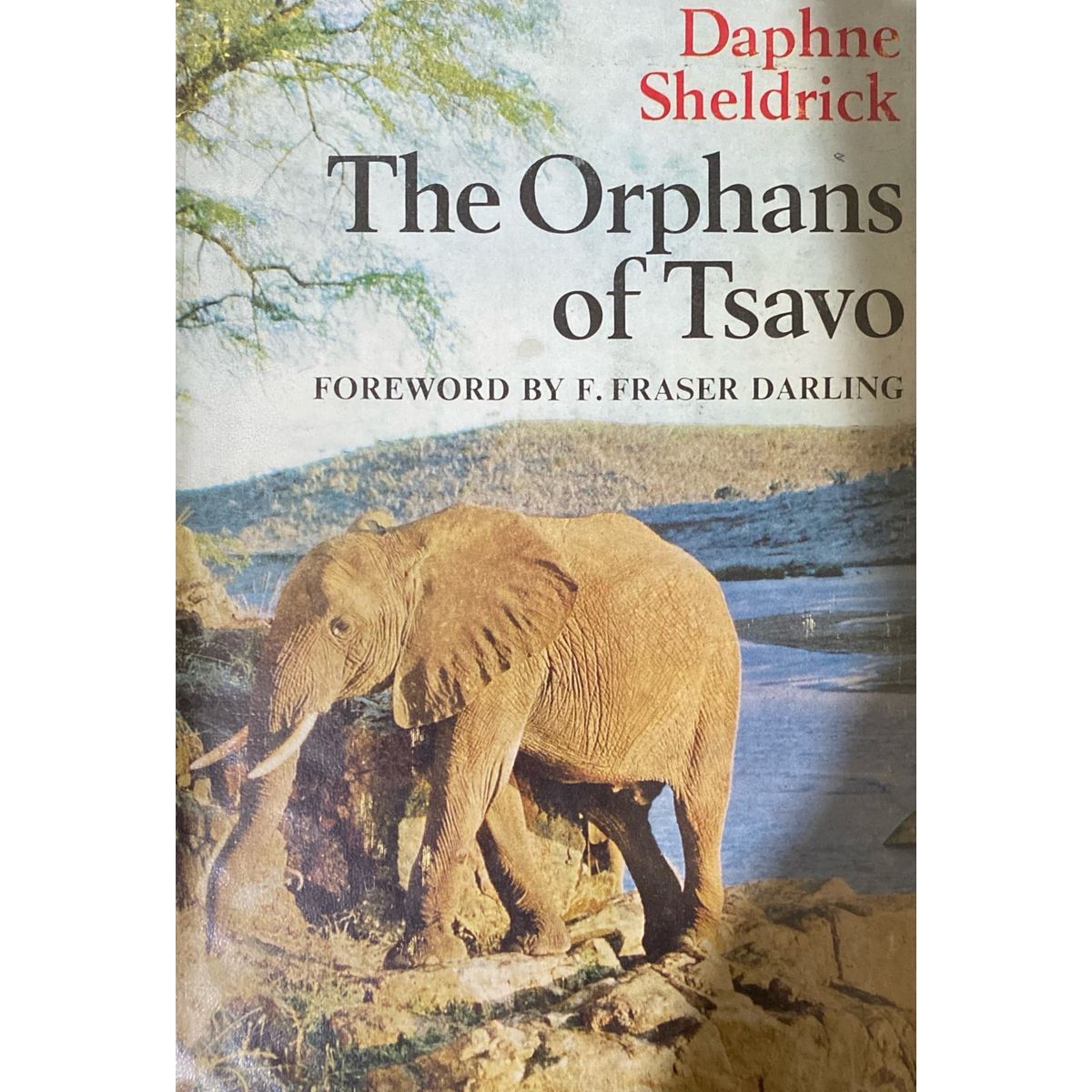 ISBN: 9780002626071 / 0002626071 - The Orphans of Tsavo by Daphne Sheldrick [1968]