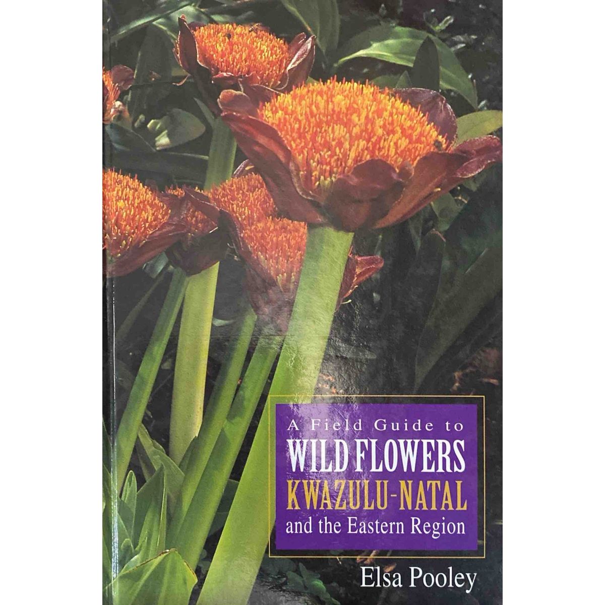 ISBN: 9780620215015 / 0620215011 - A Field Guide to Wild Flowers KwaZulu Natal and the Eastern Region by Elsa Pooley, 1st Edition [1998]