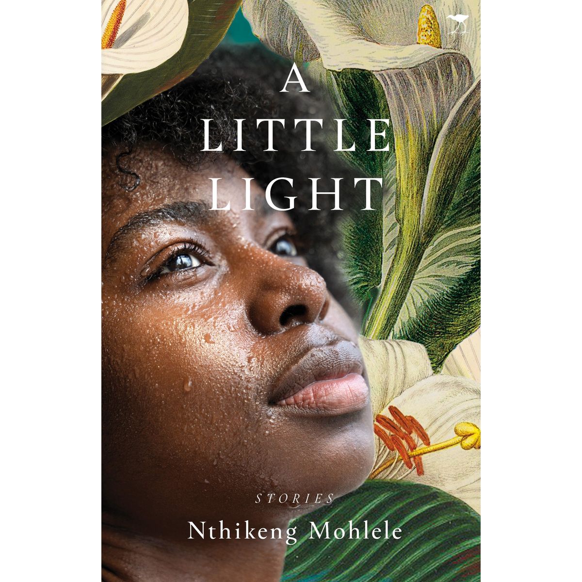 ISBN: 9781431433544 / 1431433543 - A Little Light by Nthikeng Mohlele [2023]