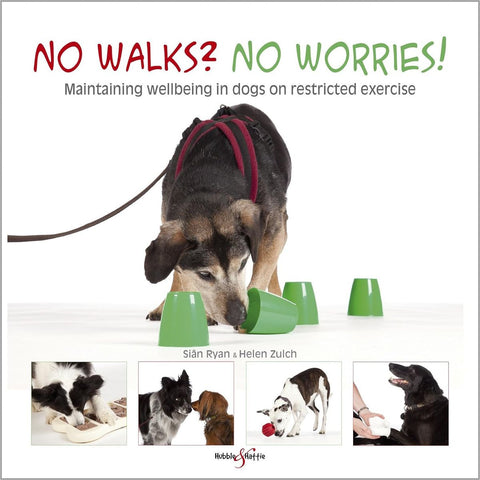 ISBN: 9781845846053 / 1845846052 - No Walks? No Worries!: Maintaining Wellbeing in Dogs on Restricted Exercise by Sian Ryan & Helen Zulch [2014]