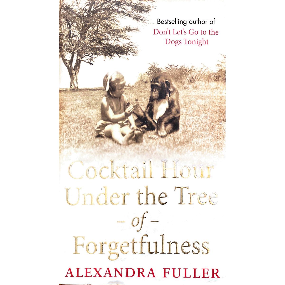 ISBN: 9780857201287 / 085720128X - Cocktail Hour Under the Tree of Forgetfulness by Alexander Fuller [2011]