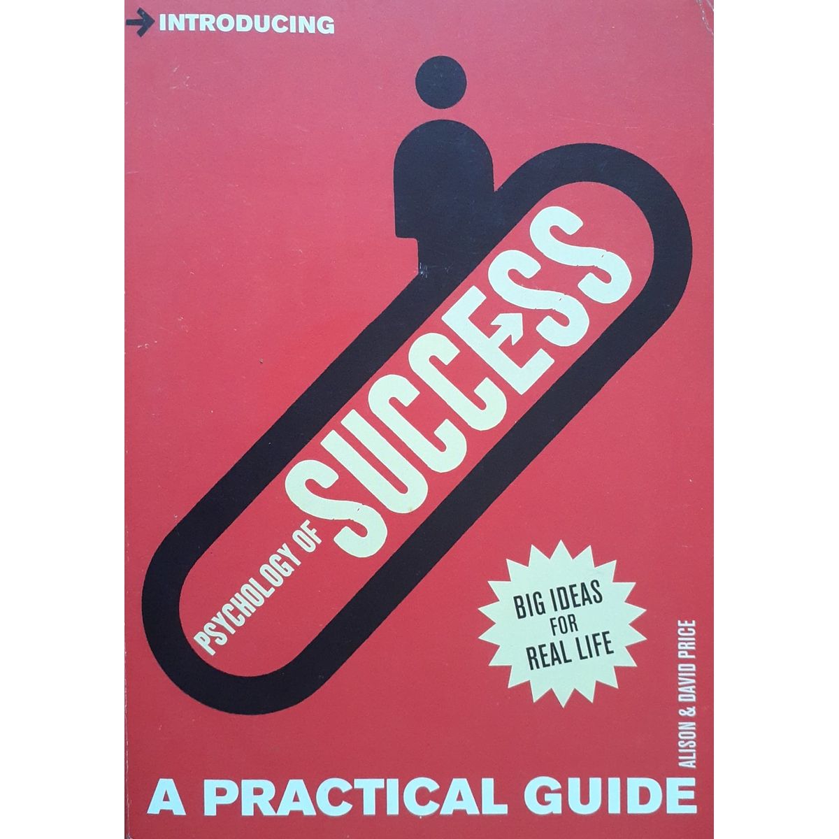 ISBN: 9781848312593 / 1848312598 - Introducing Psychology of Success: A Practical Guide by Alison and David Price [2011]