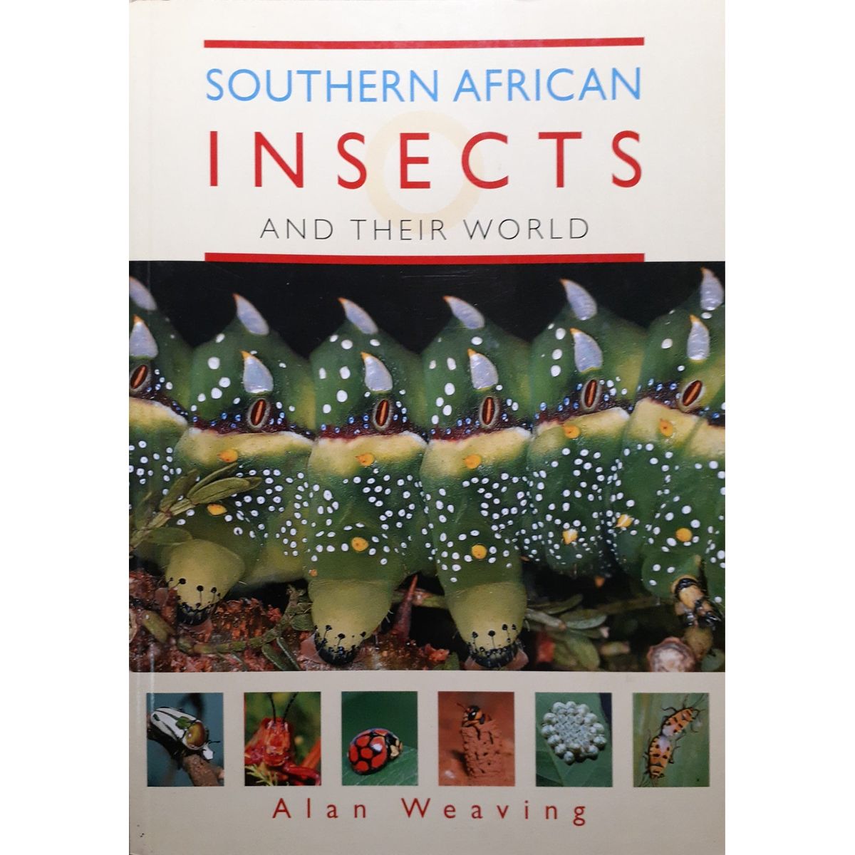 ISBN: 9781868723201 / 1868723208 - Southern African Insects & Their World by Alan Weaving [2000]