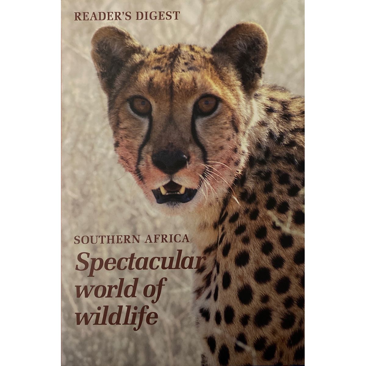 ISBN: 9781874912057 / 187491205X - Southern Africa: Spectacular World of Wildlife by Editors of Reader's Digest [1994]